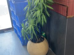 -王家大院·南京菜(湛江路总店)