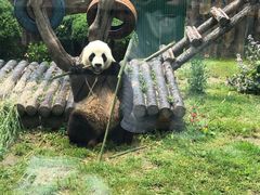 -大连森林动物园