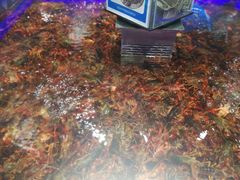 -盒马鲜生(顺义店)