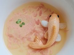 -珠海瑞吉酒店·宴庭中餐厅