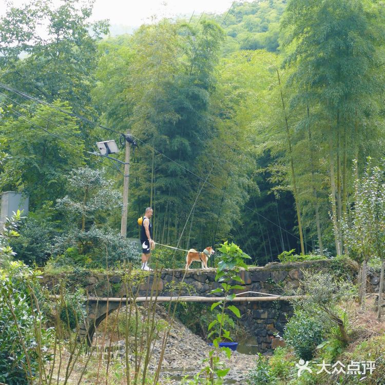 湖州安吉小杭坑营地｜可以带着狗狗🐶去的露营⛺地️