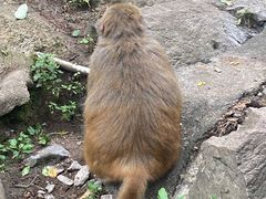 -黔灵山公园