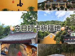 -紫竹林