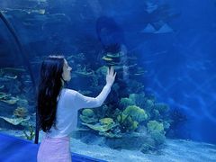 -福州罗源湾海洋世界旅游区