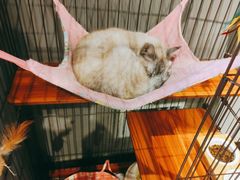 -脉冲品质汽美·贴膜(闵行店)