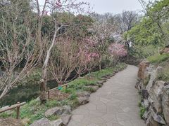 -无锡蠡湖国家湿地公园-蠡园