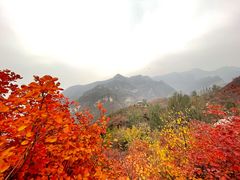 -周口店坡峰岭风景区