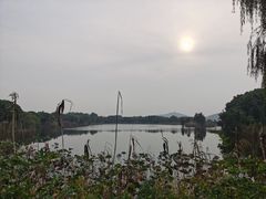 -上海市保健医疗中心