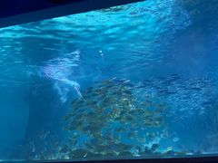 -常州海昌海洋探索馆
