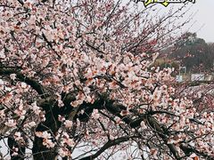 -白塘生态植物园