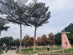 -顺峰山公园