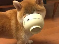 -南京交通职业技术学院第四食堂