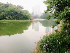 -百林公园-两江幸福广场