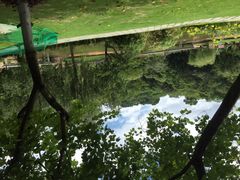 悦华酒店-厦门悦华酒店
