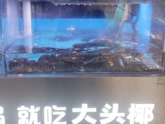 -大头椰·椰子鸡火锅(南宁万象城店)