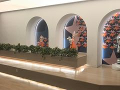 -舞蕾舞蹈(特长生校区)