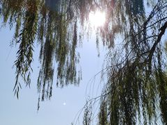 -廊坊市自然公园