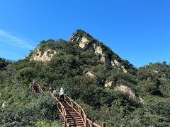 -大岭沟猕猴桃谷风景区