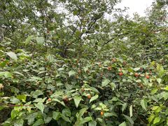 -敬亭山风景名胜区