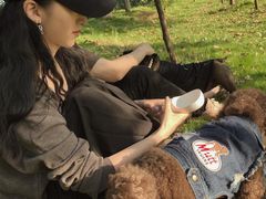 -栖露营camping·天幕烧烤·团建拓展·采摘营地