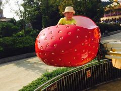 -南京银杏湖乐园