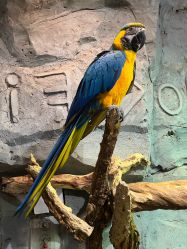 -Zoolung Zoolung动物主题公园(海信广场店)