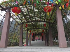 -清溪森林公园
