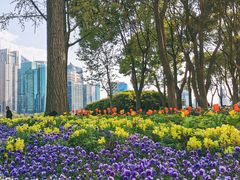 -北外滩滨江绿地