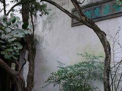 -留园