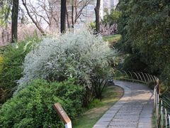 -莫愁湖公园