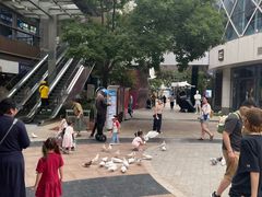 -中粮·祥云小镇