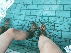 -天山海世界·米立方