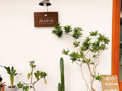 -AHAVA·Fang Baking Studio