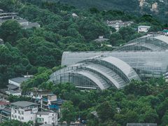 -大金鹰园