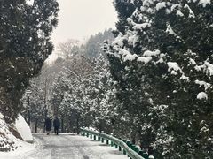 -白水寺森林公园