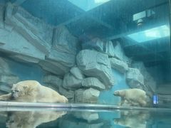 -泉城欧乐堡海洋极地世界