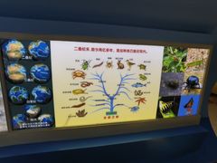 -上海昆虫博物馆