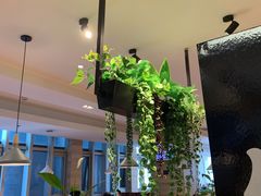 -比格比萨自助(宋家庄店)