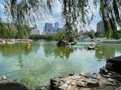 -团结湖公园