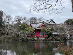 -井之头恩赐公园
