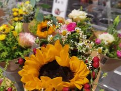 -鹿岛生活(熙地港店)