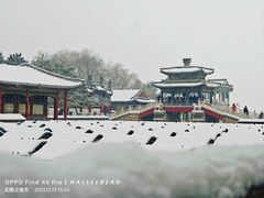 -颐和园