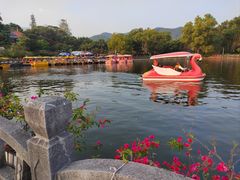 -大屏嶂森林公园