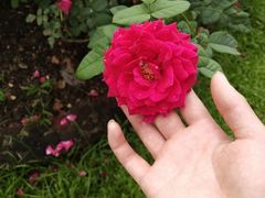 -人民公园(罗湖区)