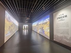 -四川大学博物馆