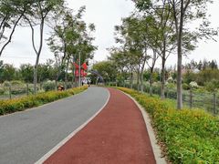 -上海长兴岛郊野公园