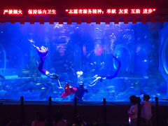 -无锡海洋馆