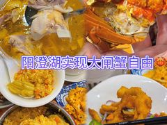 -品鲜村农家菜·阳澄湖大闸蟹(总店)