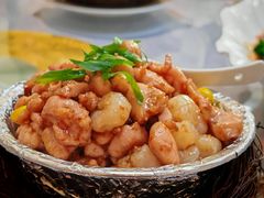 -丁老爷子苏香圆