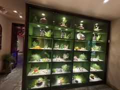 -慢丽江·云南野生菌土鸡锅(西山店)